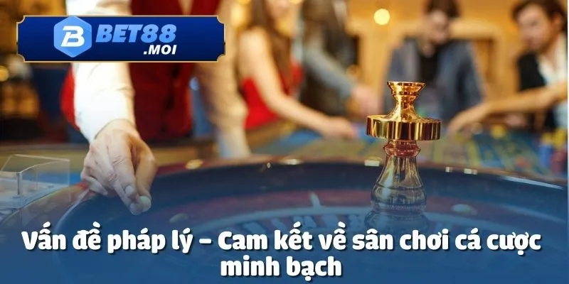 Bet88 chỉ cung cấp dịch vụ theo đúng chính sách miễn trừ trách nhiệm