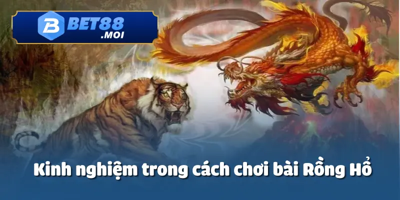 Cách chơi bài rồng hổ không chỉ là trò chơi dựa vào may mắn
