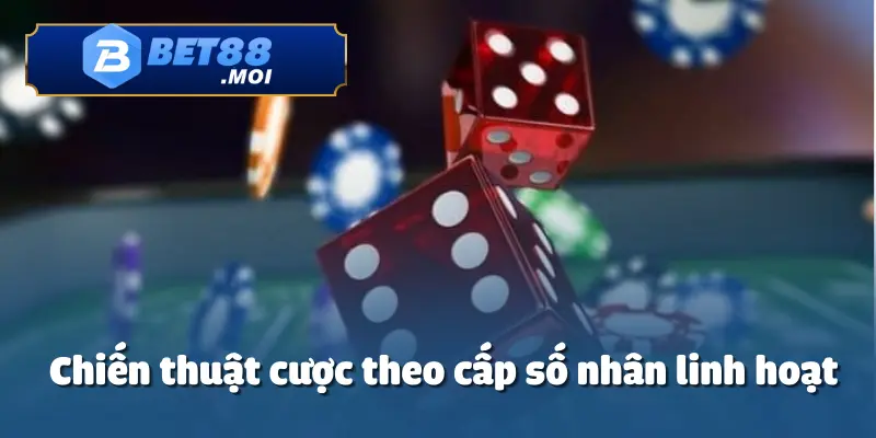 Chiến thuật tài xỉu cho người mới nhằm hạn chế rủi ro