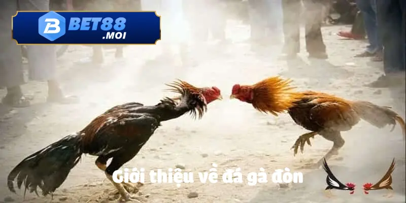 Tổng quan về cá cược đá gà tại nhà cái BET88 